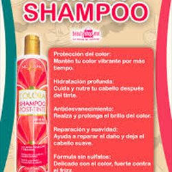 shampoo post tinte nekane 300ml